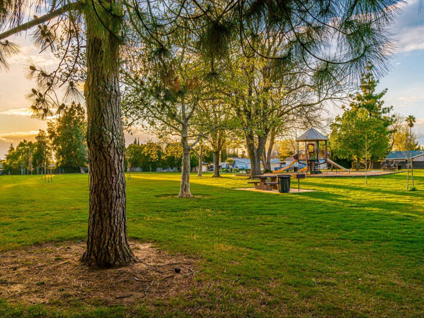 Countryside Park at golden hour on Glenmoor Drive, Sacramento CA 95827, a shaded neighborhood park with playground and picnic areas
